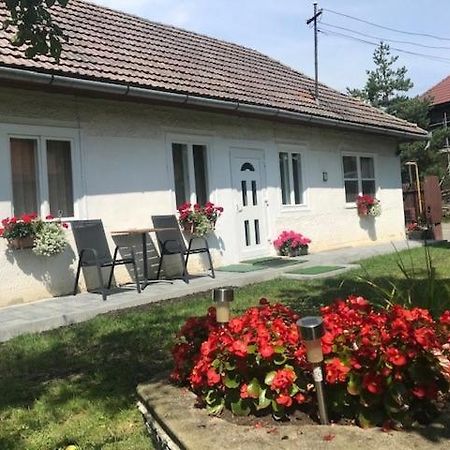 Hotel Casuta Sanatatii Covasna Exterior foto