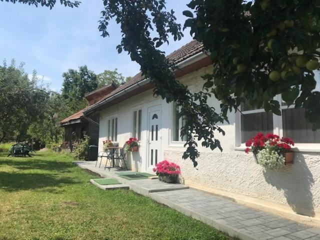 Hotel Casuta Sanatatii Covasna Exterior foto